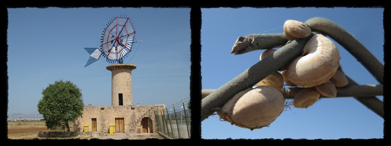 F014.jpg